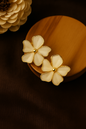 Elegant white Meenakari enamel flower earrings with five gold-lined petals – handcrafted floral design jewelry for women